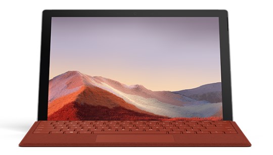 洛扎清洁和维护 Surface